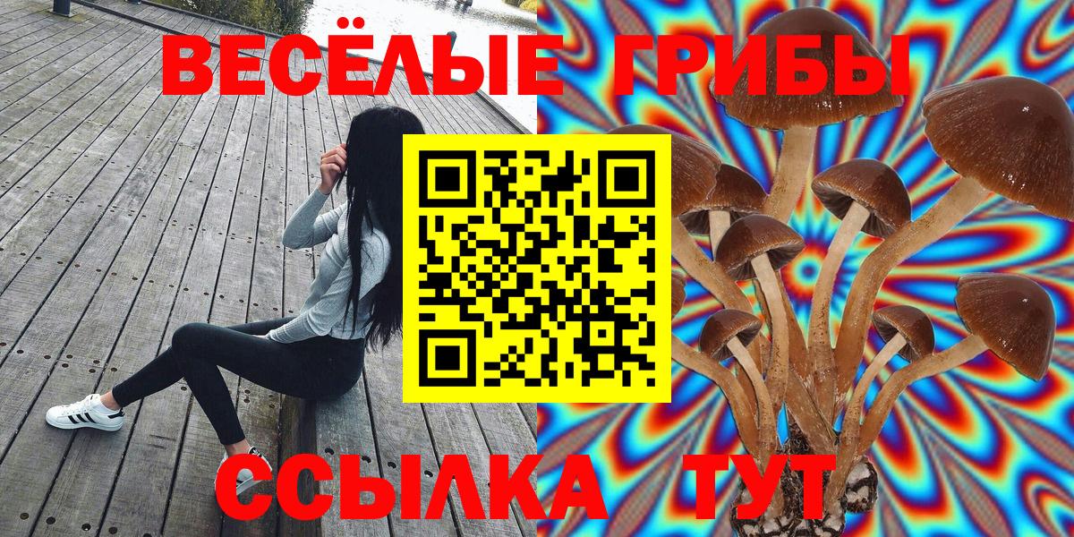 Псилоцибиновые грибы мухоморы Знаменск