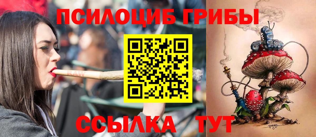 Галлюциногенные грибы Psilocybine cubensis  Псилоцибиновые грибы Magic Shrooms  Знаменск  Вход с VPN 